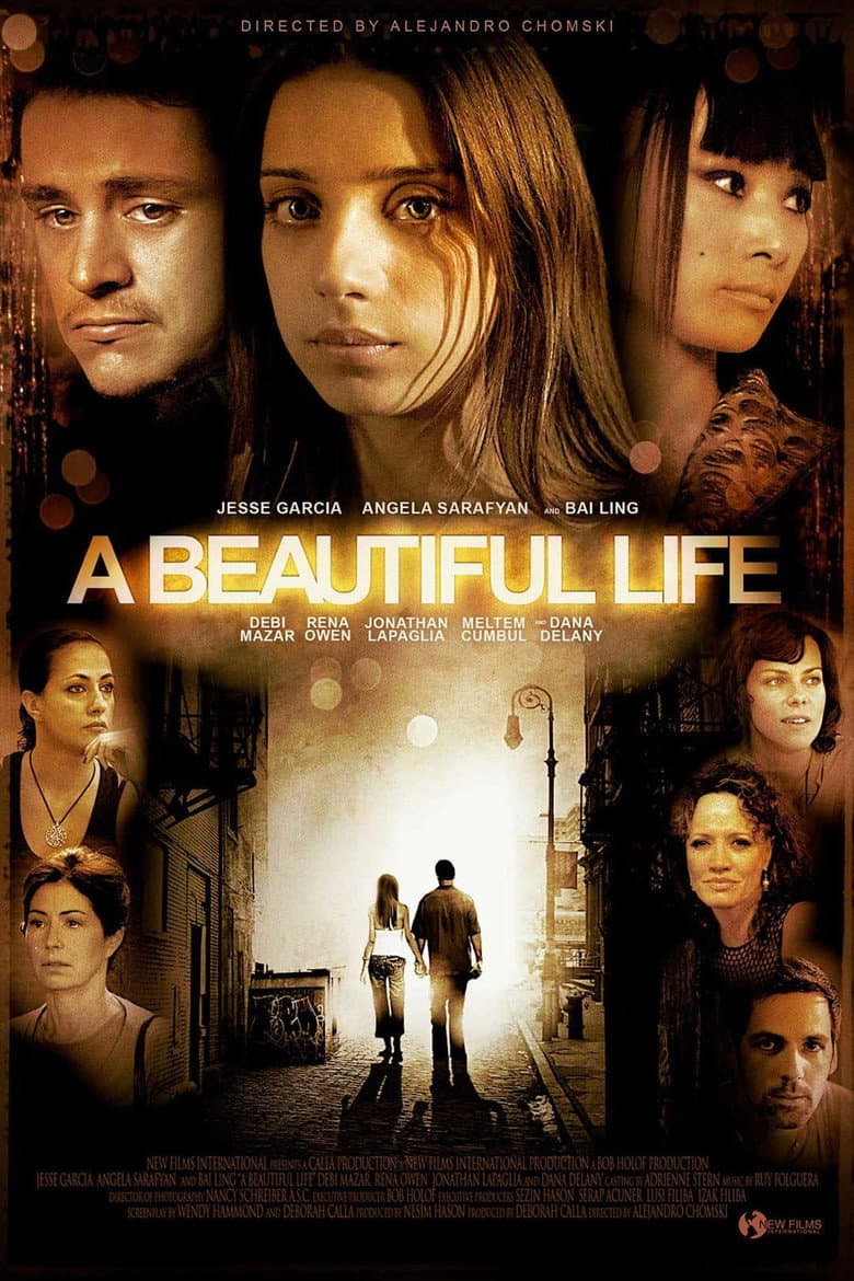 Beautiful Life (DVD)