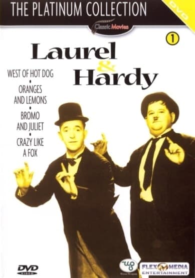 Laurel & Hardy - The Platinum Collection Dvd 1 (DVD)