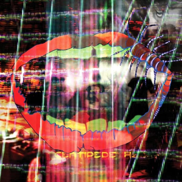 Animal Collective - Centipede Hz (LP)