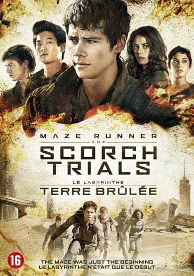 Maze Runner - Scorch Trials (DVD)