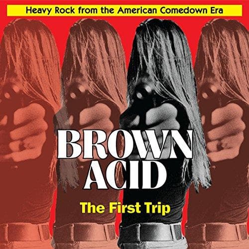 Various Artists - Brown Acid: The First Trip (CD)