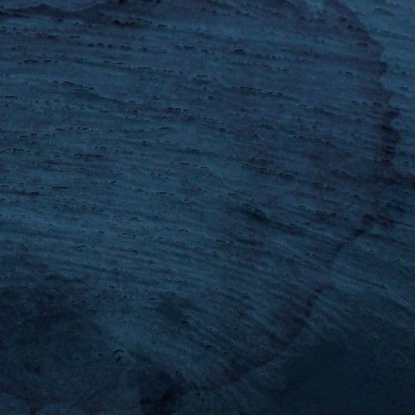 Multicast Dynamics - Aquatic System (2 LP)