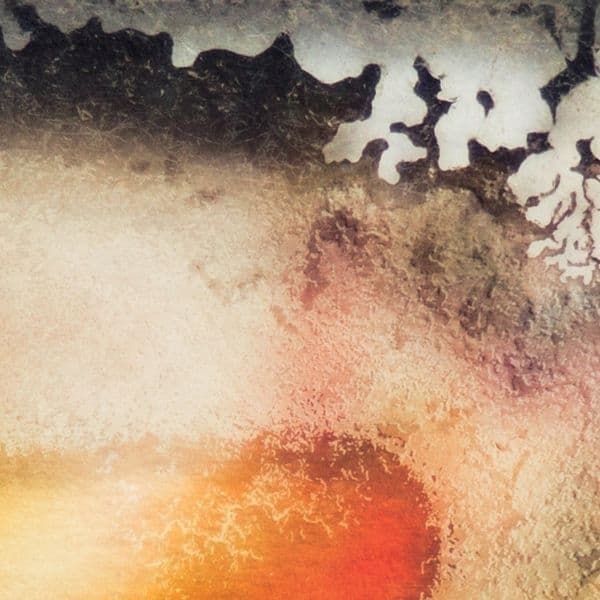 Multicast Dynamics - Scape (LP)