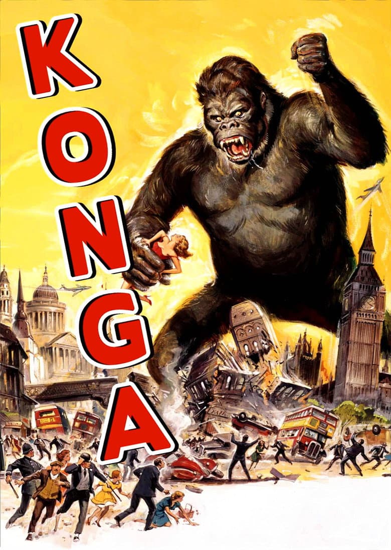 Konga (Import)