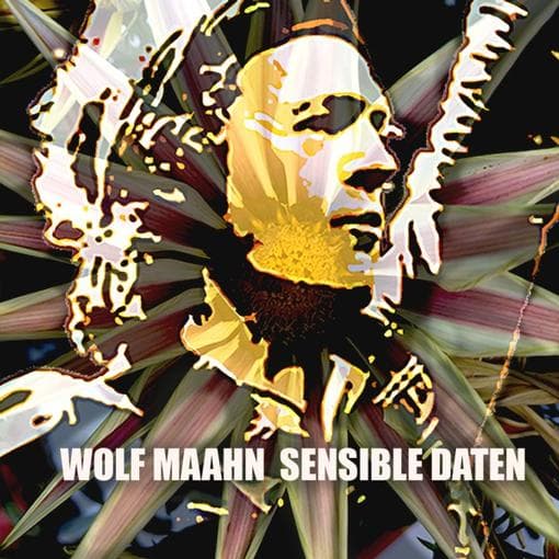 Wolf Maahn - Sensible Daten (2 LP)