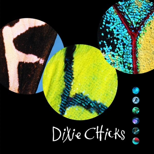 Dixie Chicks - Fly