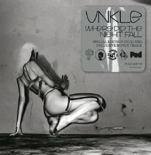 Unkle - Where Did The Night Fall