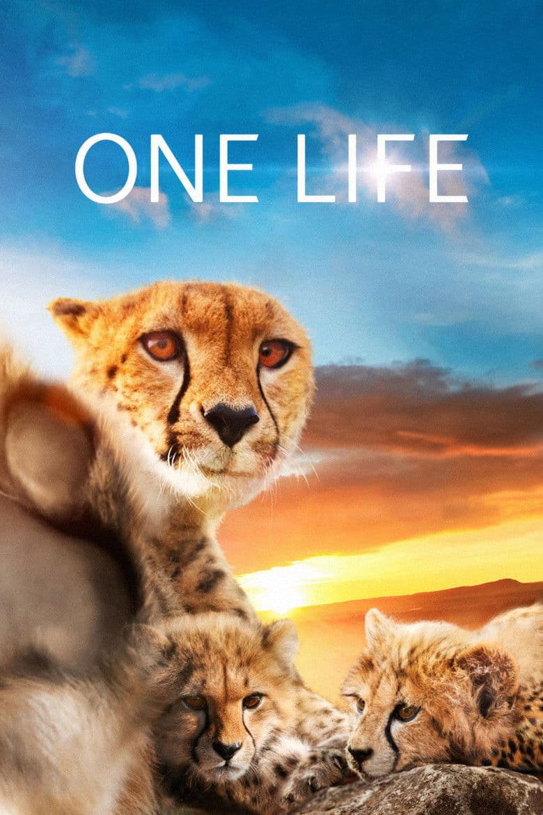 One Life (DVD)