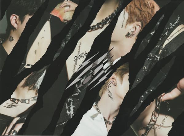 Scars / ソリクン