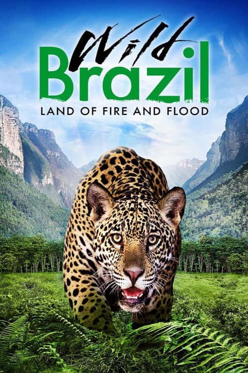 Wild Brazil - Season 1