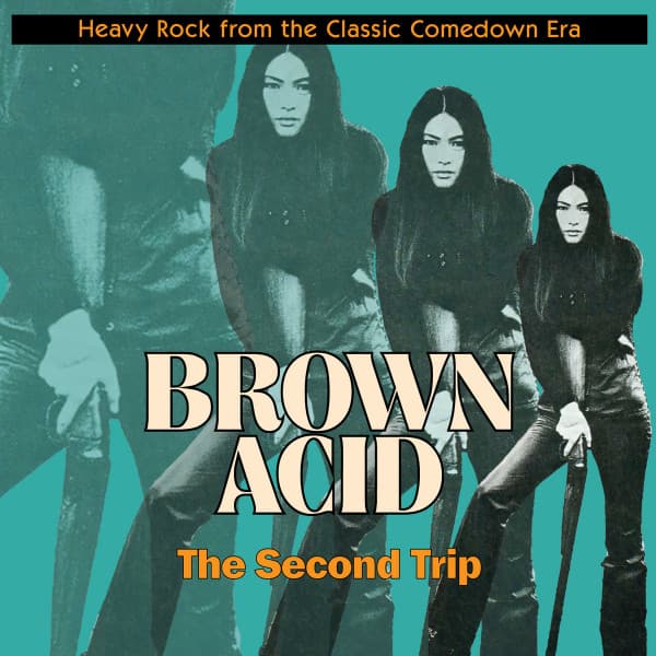 Brown Acid: The Second Trip (Heavy Rock From The Classic Comedown Era)